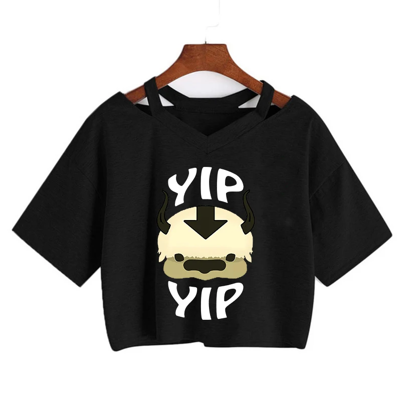 Avatar The Last Airbender T Shirt Women Kawaii Crop Top Anime Appa Tshirt Funny Cartoon Graphic Tee Shirt Fashion T-shirt Female - Image 24