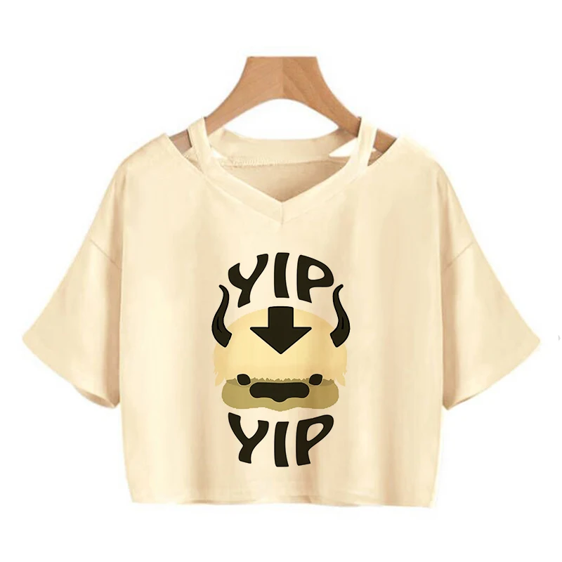 Avatar The Last Airbender T Shirt Women Kawaii Crop Top Anime Appa Tshirt Funny Cartoon Graphic Tee Shirt Fashion T-shirt Female - Image 20